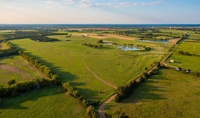 Starred Sky Tree Tops aerial of green turf and farms