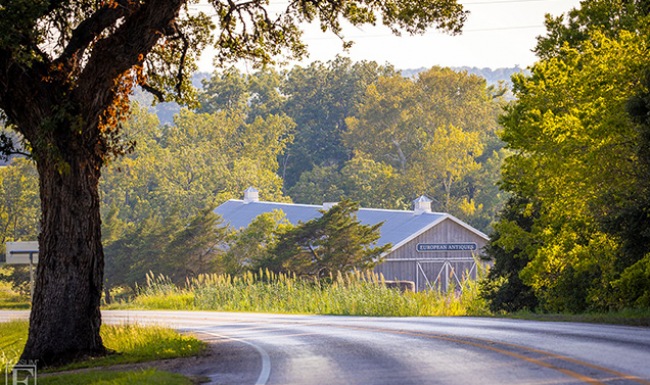 Serene Round Top, TX street in community showing a nearby barn and green trees
